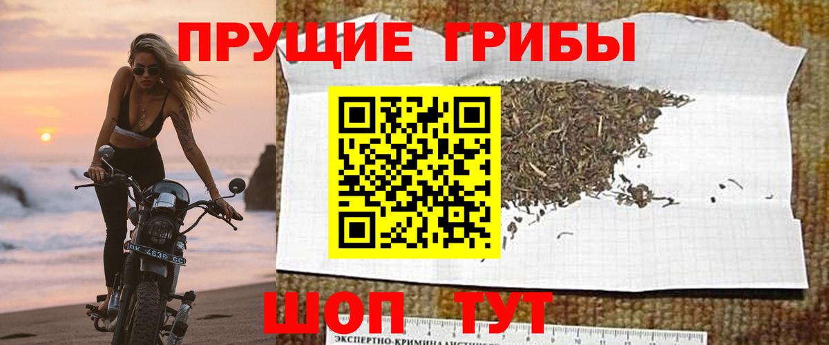 Галлюциногенные грибы Magic Shrooms  Псилоцибиновые грибы Psilocybe  Вход с VPN  Алексеевка 