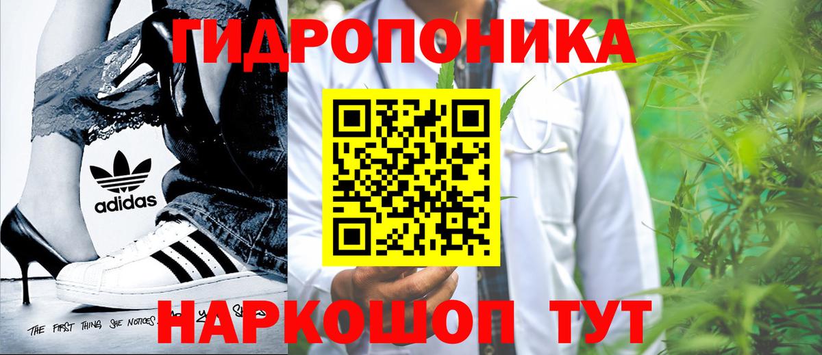 Марихуана конопля Алексеевка